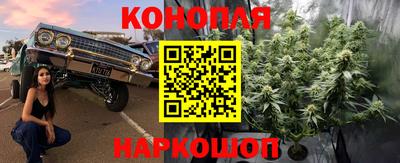 ПСИЛОЦИБИНОВЫЕ ГРИБЫ Бузулук