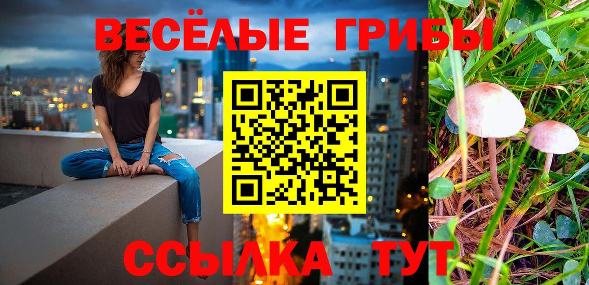 Чехов  Галлюциногенные грибы MAGIC MUSHROOMS  Вход с VPN  Псилоцибиновые грибы GOLDEN TEACHER 